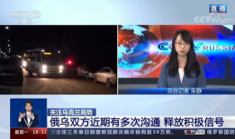 央视网视频,揭秘事件背后的真相